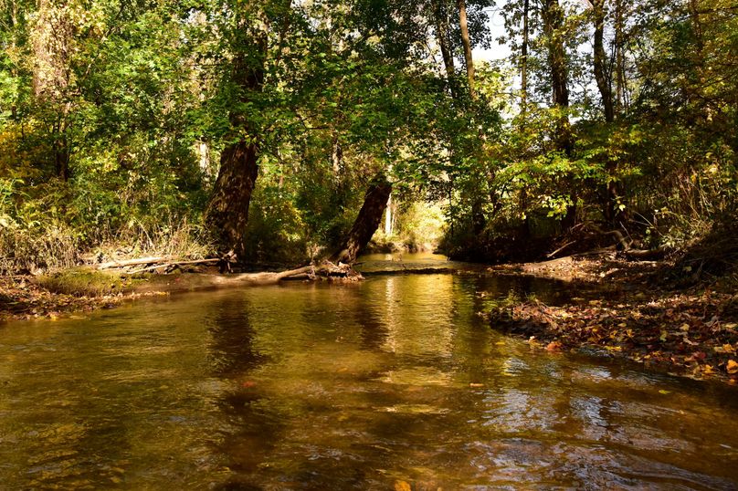 Wayne_72.38_Seibel_Photos_65