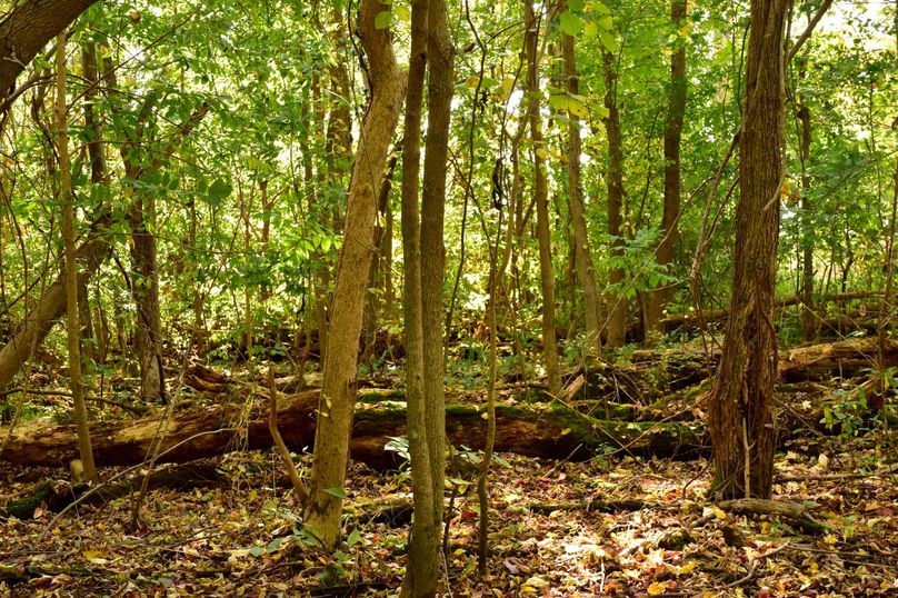 Wayne_72.38_Seibel_Photos_95