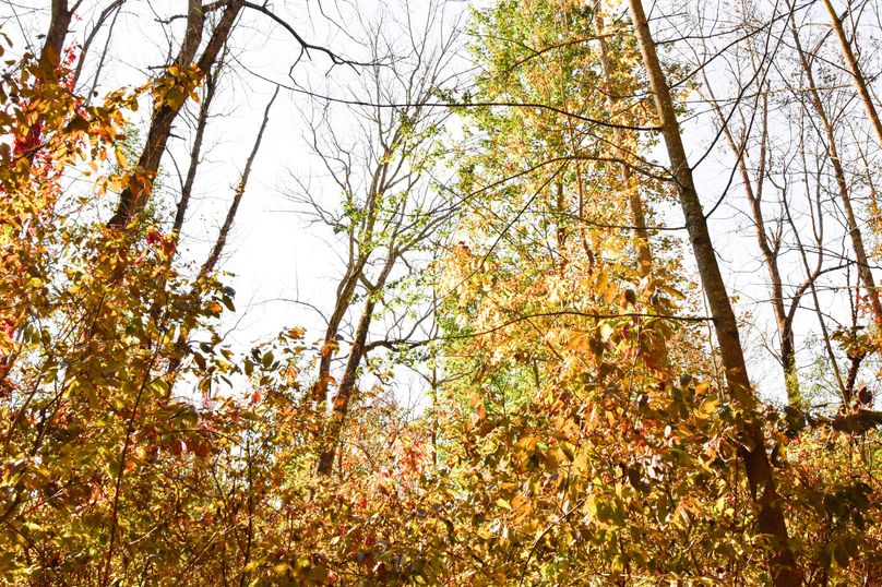 Wayne_72.38_Seibel_Photos_105