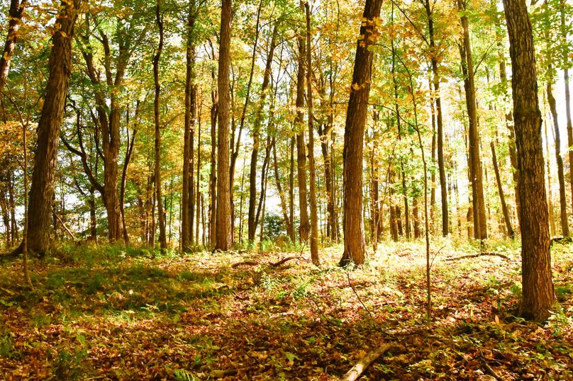 Wayne_72.38_Seibel_Photos_111