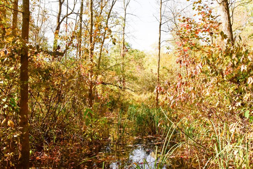 Wayne_72.38_Seibel_Photos_103