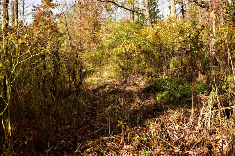 Wayne_72.38_Seibel_Photos_102