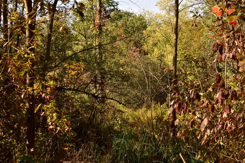 Wayne_72.38_Seibel_Photos_104