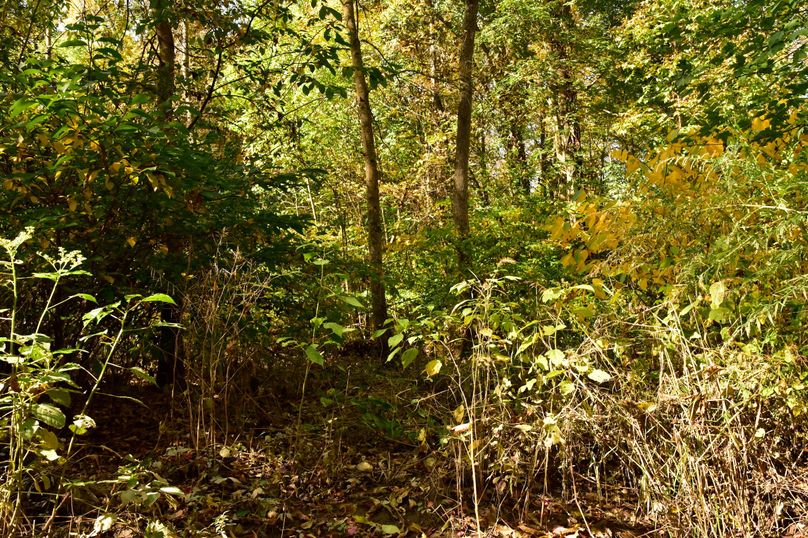 Wayne_72.38_Seibel_Photos_108