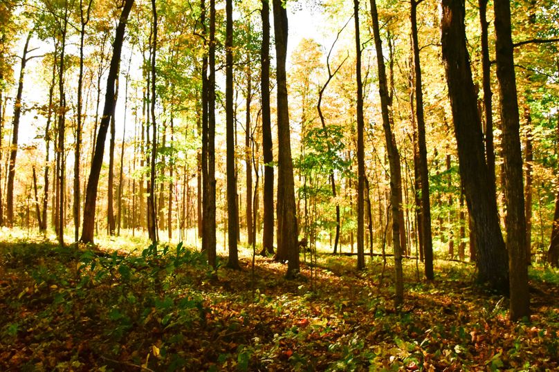 Wayne_72.38_Seibel_Photos_109