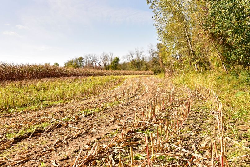 Wayne_72.38_Seibel_Photos_101