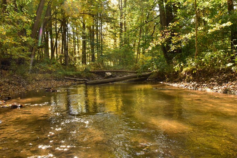 Wayne_72.38_Seibel_Photos_64