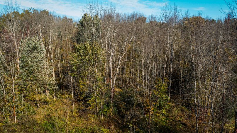 Wayne_72.38_Seibel_Photos_72