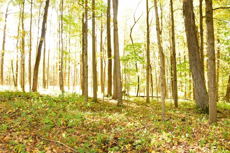 Wayne_72.38_Seibel_Photos_110