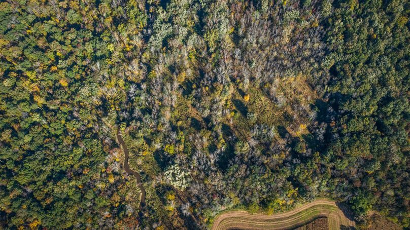 Wayne_72.38_Seibel_Photos_100