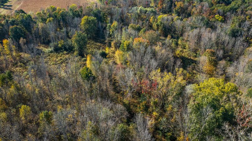 Wayne_72.38_Seibel_Photos_71