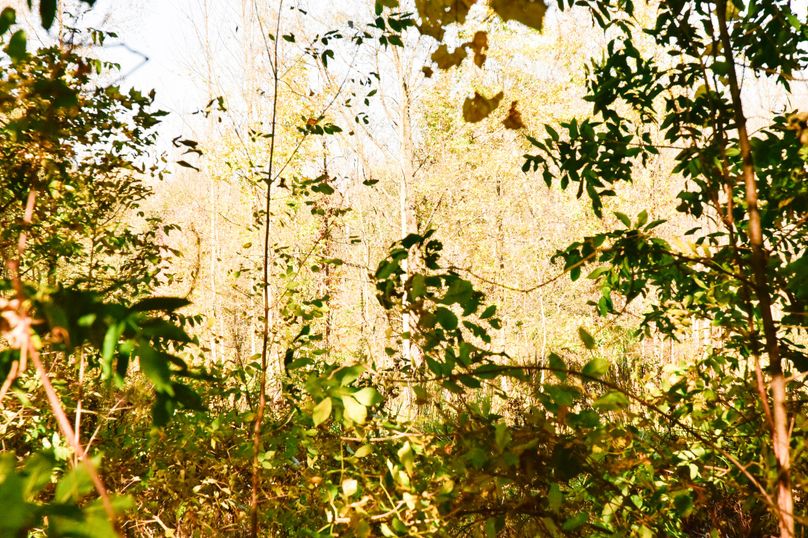 Wayne_72.38_Seibel_Photos_94