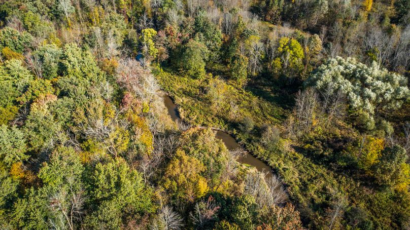 Wayne_72.38_Seibel_Photos_98