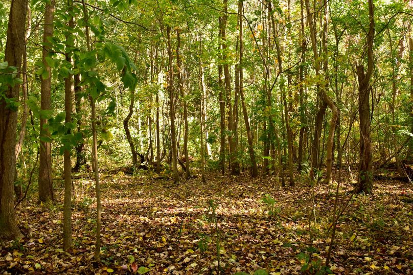 Wayne_72.38_Seibel_Photos_91