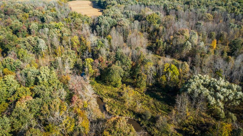 Wayne_72.38_Seibel_Photos_97