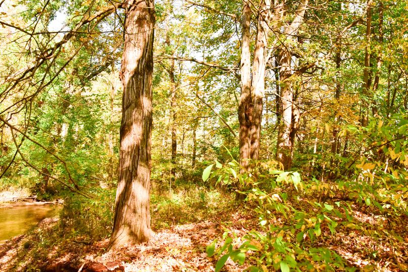 Wayne_72.38_Seibel_Photos_107