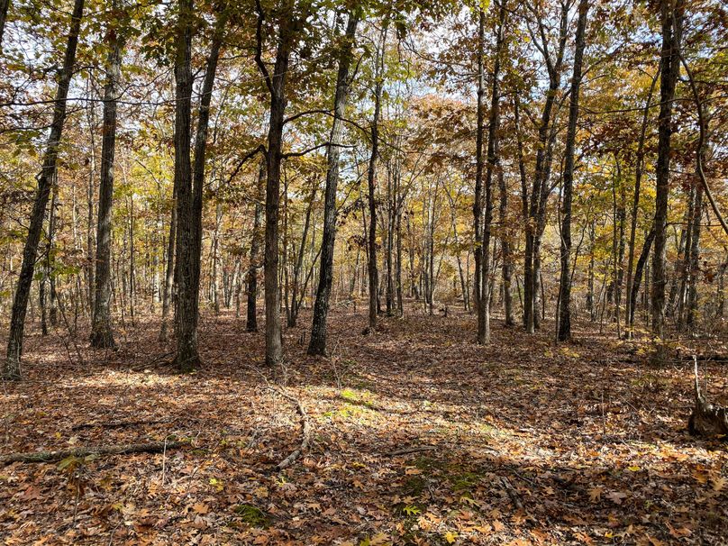 ReservoirHill_2019__ss_-24