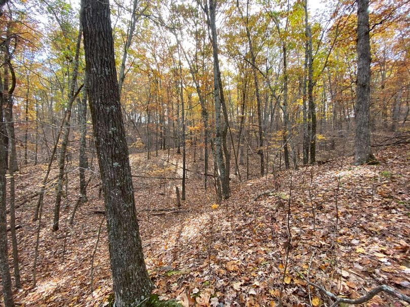 ReservoirHill_2019__ss_-23