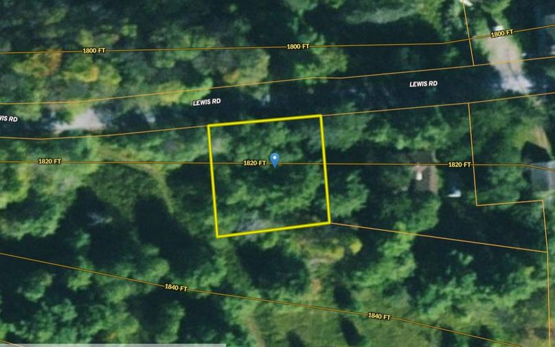 z Delaware 0.38 Pancucci Topo