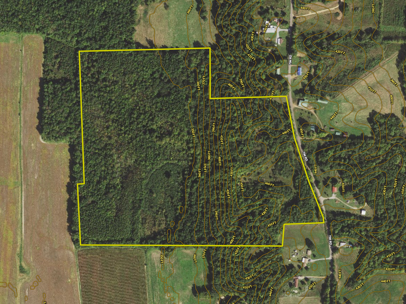 Screen Shot 2021-10-11 at 2.00.07 PM