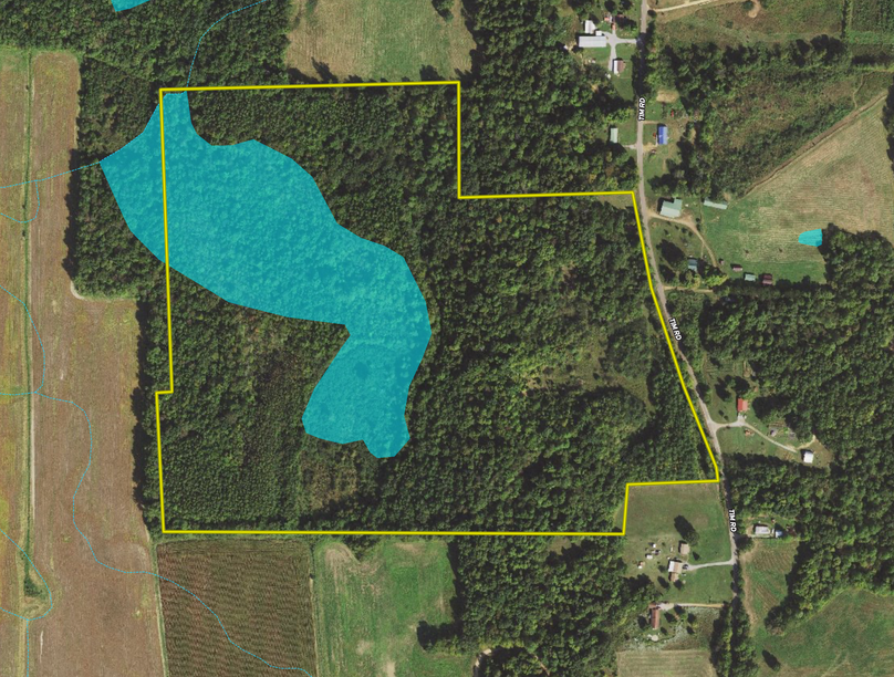 Screen Shot 2021-10-11 at 2.00.26 PM