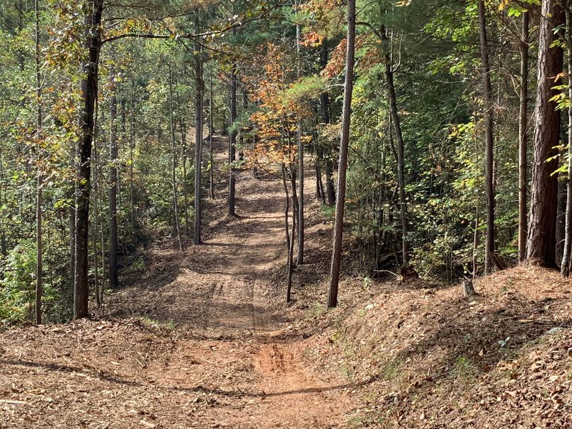 017_Internal Road System