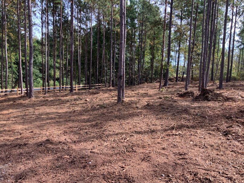 015_Split rail front entrance