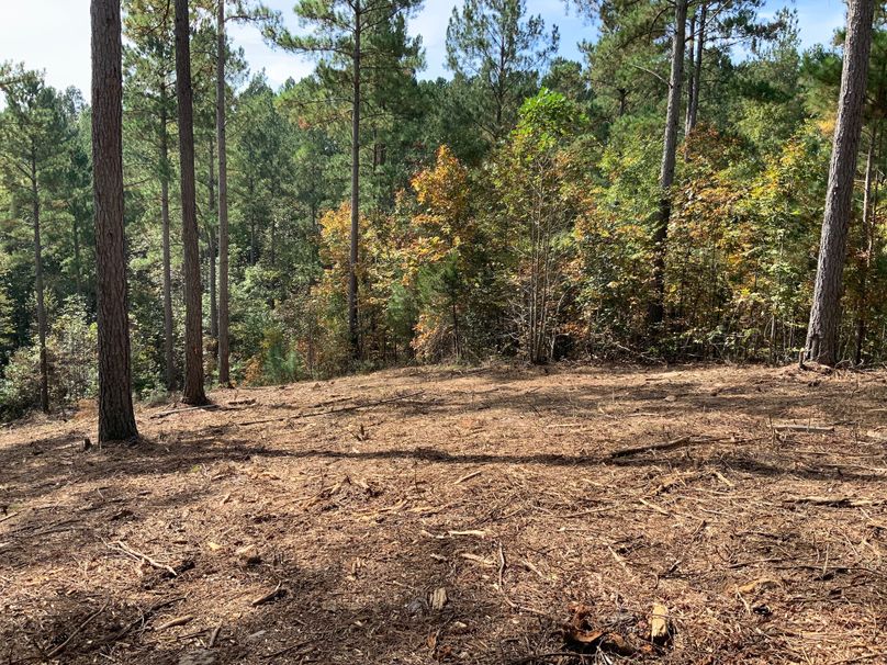 002_Cleared Homesite