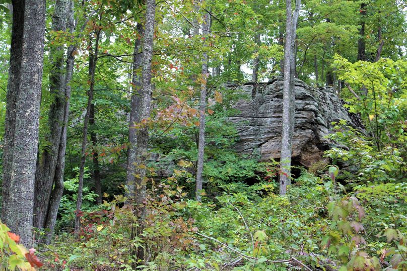 026 gorgeous rock pinnacle in the northeast corner of the property