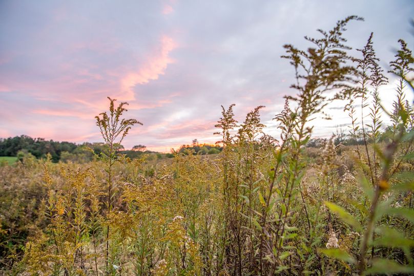 Pike IL 186 Speckhart Pro Photo-75