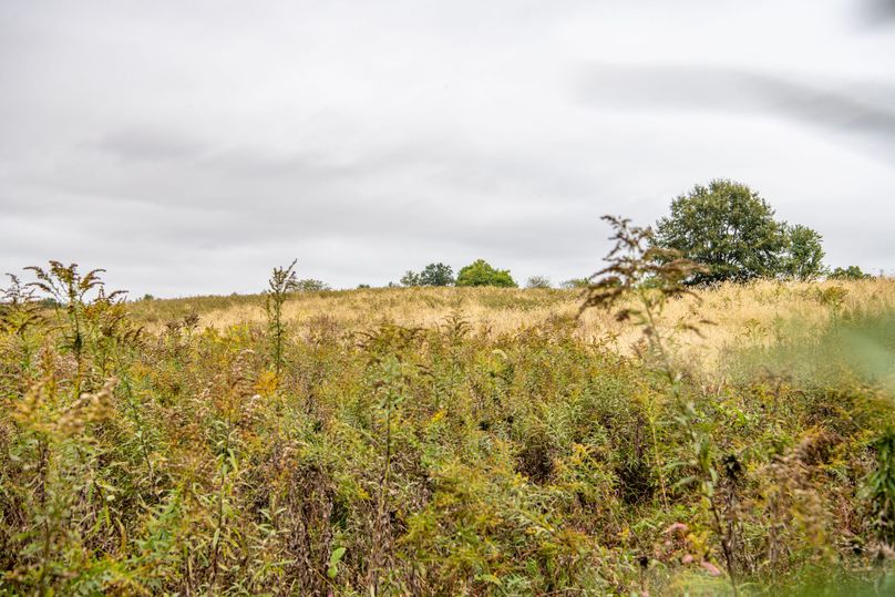 Pike IL 186 Speckhart Pro Photo-30