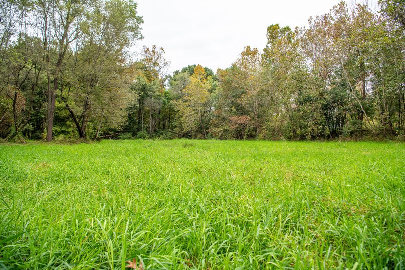 Pike IL 186 Speckhart Pro Photo-43