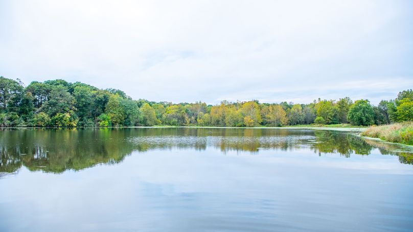 Pike IL 186 Speckhart Pro Photo-57