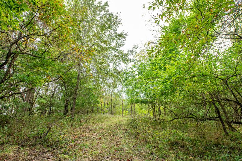 Pike IL 186 Speckhart Pro Photo-77