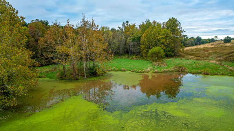 Pike IL 186 Speckhart Pro Photo-87