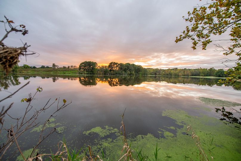 Pike IL 186 Speckhart Pro Photo-118