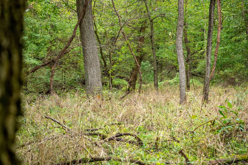 Pike IL 186 Speckhart Pro Photo-26