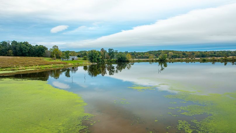 Pike IL 186 Speckhart Pro Photo-91