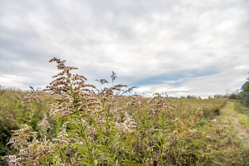 Pike IL 186 Speckhart Pro Photo-48