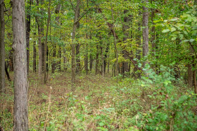 Pike IL 186 Speckhart Pro Photo-39