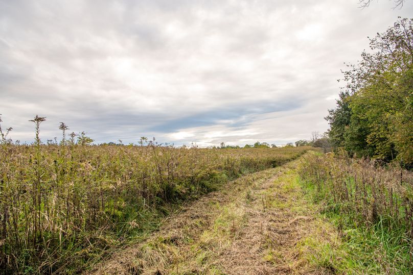 Pike IL 186 Speckhart Pro Photo-47