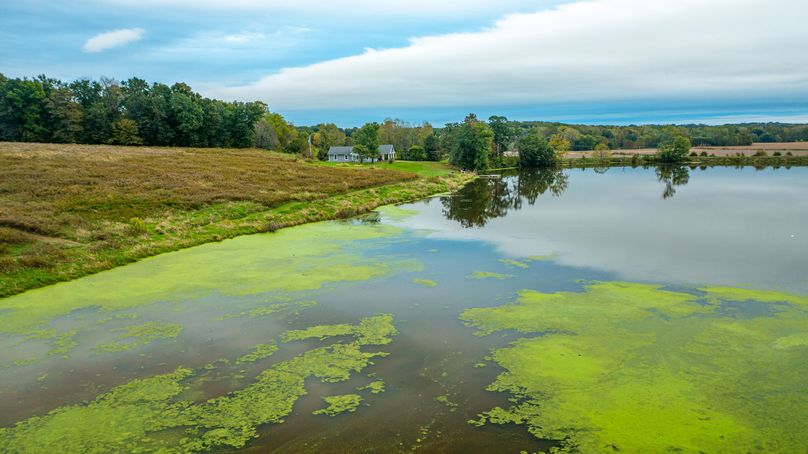 Pike IL 186 Speckhart Pro Photo-90