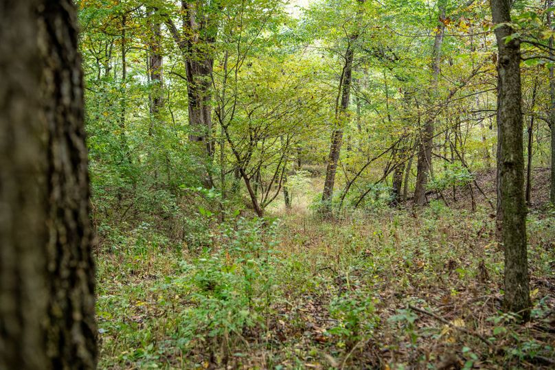 Pike IL 186 Speckhart Pro Photo-33