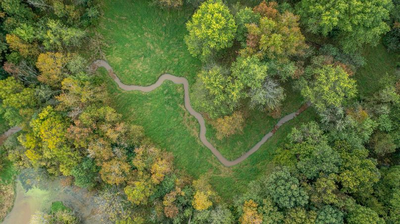 Pike IL 186 Speckhart Pro Photo-66