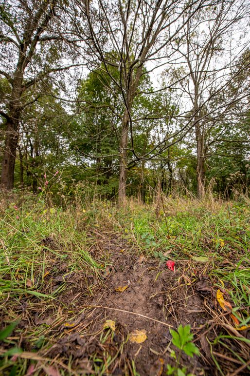 Pike IL 186 Speckhart Pro Photo-19