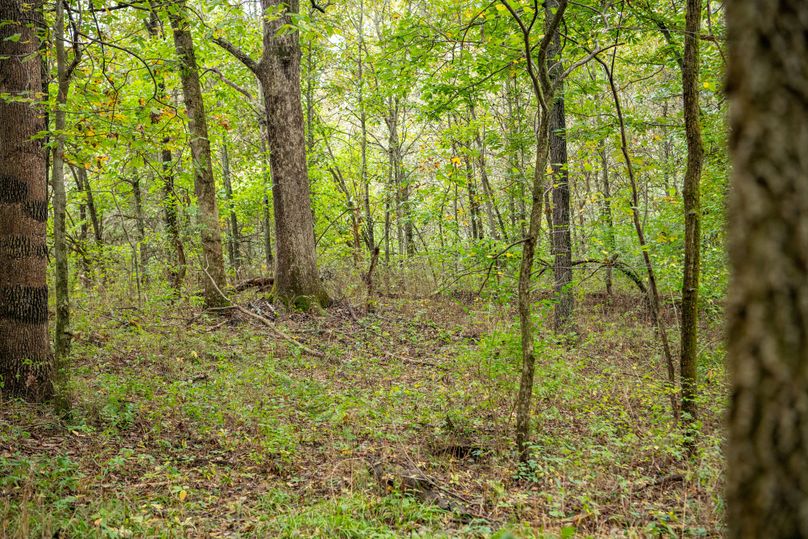 Pike IL 186 Speckhart Pro Photo-34