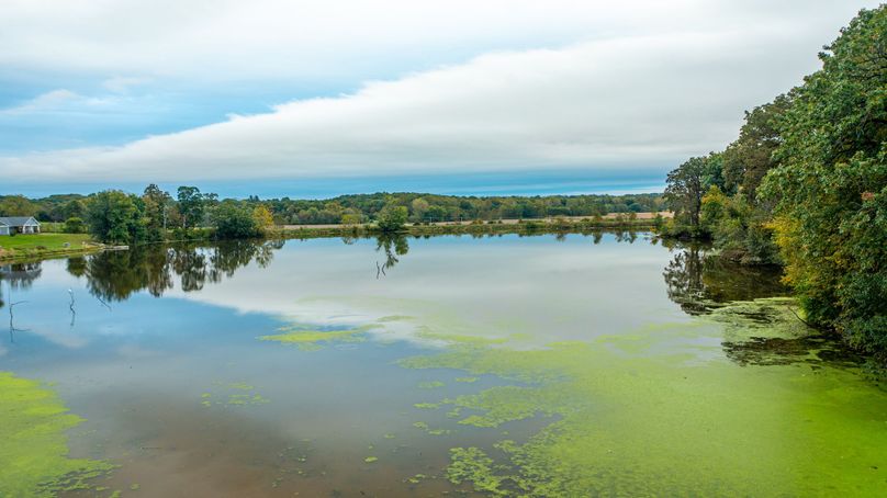 Pike IL 186 Speckhart Pro Photo-92