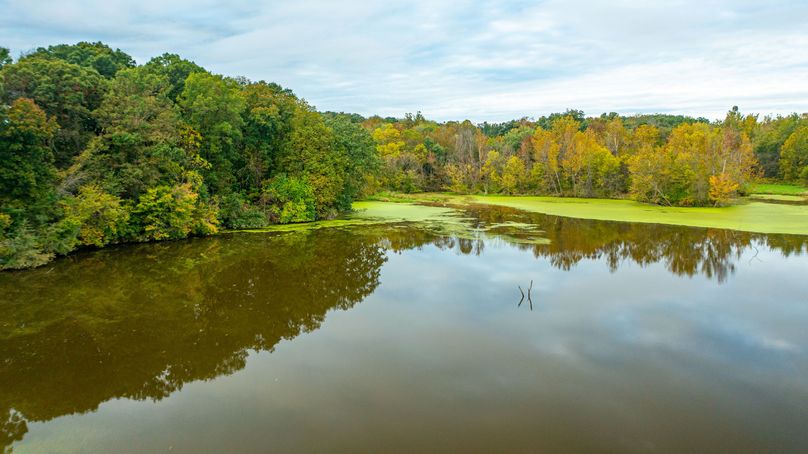 Pike IL 186 Speckhart Pro Photo-86