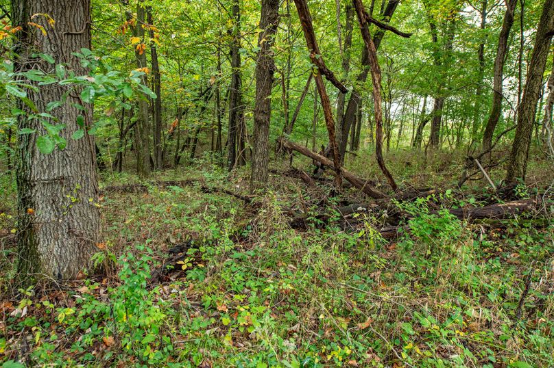 Pike IL 186 Speckhart Pro Photo-76