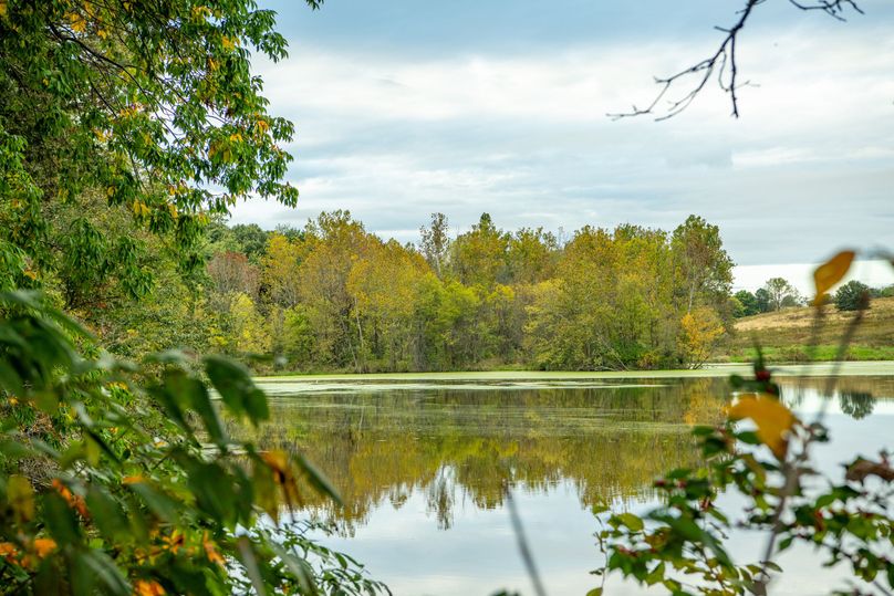 Pike IL 186 Speckhart Pro Photo-53